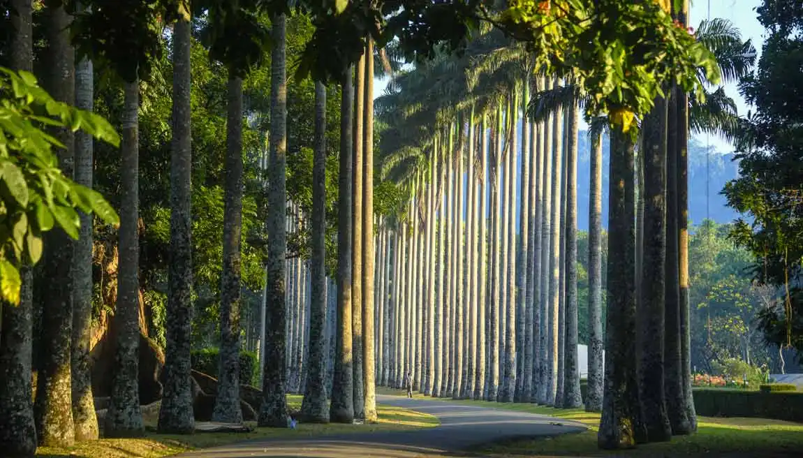 Royal Botanic Garden