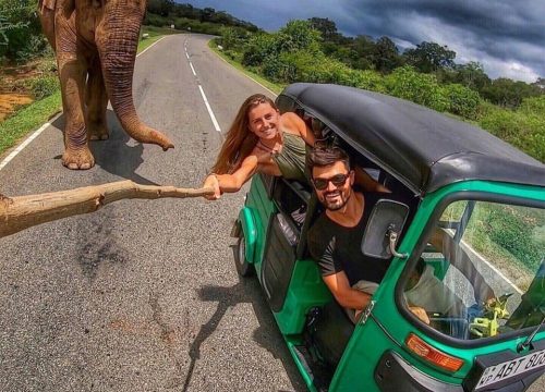 elephant tuk